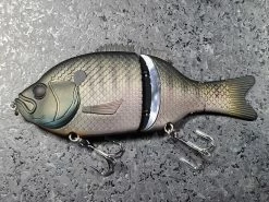 Baitsanity Explorer Gill 6 Hard Body