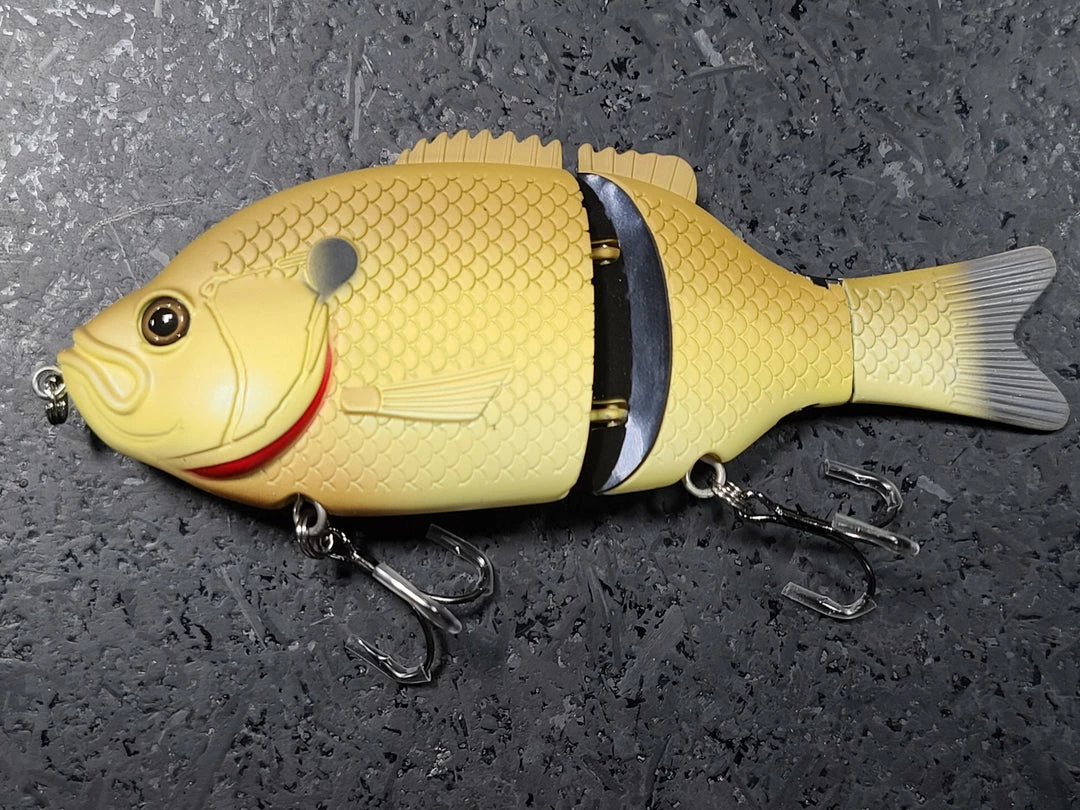 Baitsanity Explorer Gill 6 Hard Body