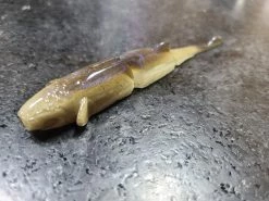 YG.Iabo Creatures Witch Lana