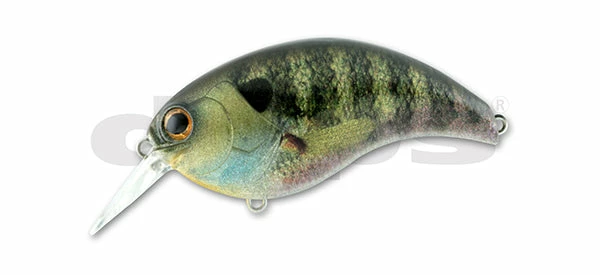 Deps Evoke 3.0 Medium Diving (8-14ft.)