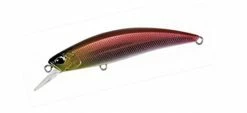 Duo Realis Jerkbaits Spearhead Ryuki 70S