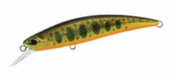Duo Realis Spearhead Ryuki 80S Jerkbaits