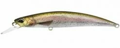 Duo Realis Spearhead Ryuki 80S Jerkbaits