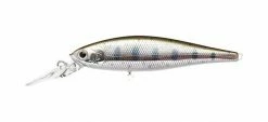 Lucky Craft Jerkbaits BFreeze 85LB-F