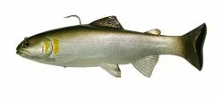 Huddleston Deluxe Soft Body 8 Inch Swimbaits