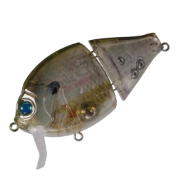 Valley Hill Boogie Back Hard Body