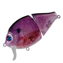 Valley Hill Boogie Back Hard Body