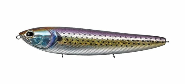 Evergreen International Amazon