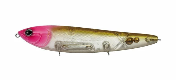 Evergreen International Amazon