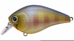 Lucky Craft Shallow Diving (0-7ft.) Fat CB BDS 2