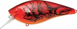 Lucky Craft Shallow Diving (0-7ft.) Fat CB BDS 6