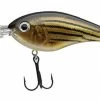 Strike King Pro Model 6XD Crankbaits