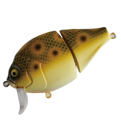 Valley Hill Boogie Back Hard Body