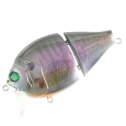 Valley Hill Boogie Back Hard Body