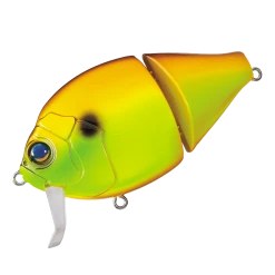 Valley Hill Boogie Back Hard Body