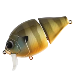 Valley Hill Boogie Back Hard Body