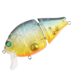 Valley Hill Boogie Back Hard Body