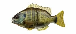 Evergreen International Hard Body Bream Slide