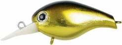 Lucky Craft Shallow Diving (0-7ft.) Clutch Series
