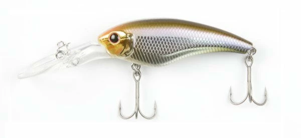 ISM Closer 55F Shallow Diving (0-7ft.)