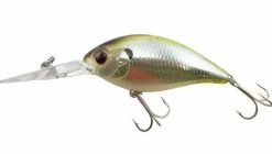Evergreen USA CR-8 Crankbaits Medium Diving (8-14ft.)