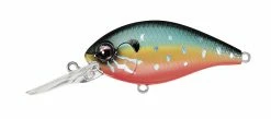 Evergreen USA CR-16 Crankbaits Deep Diving (15 Ft.+)