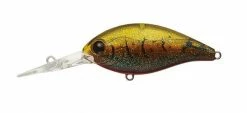 Evergreen USA CR-10 Crankbaits