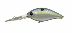 Evergreen USA CR-13 Crankbaits Medium Diving (8-14ft.)