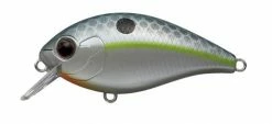 Evergreen USA CR-2 Crankbaits