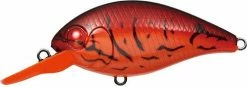Evergreen USA Shallow Diving (0-7ft.) CR-6 Crankbaits