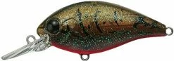 Evergreen USA Shallow Diving (0-7ft.) CR-6 Crankbaits
