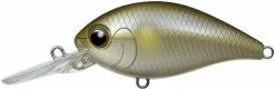 Evergreen USA CR-8 Crankbaits Medium Diving (8-14ft.)