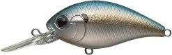 Evergreen USA CR-8 Crankbaits Medium Diving (8-14ft.)