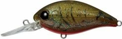 Evergreen USA CR-8 Crankbaits Medium Diving (8-14ft.)