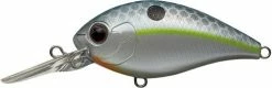 Evergreen USA CR-8 Crankbaits Medium Diving (8-14ft.)