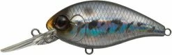 Evergreen USA CR-8 Crankbaits Medium Diving (8-14ft.)