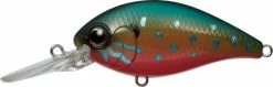 Evergreen USA CR-8 Crankbaits Medium Diving (8-14ft.)