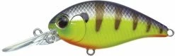 Evergreen USA Shallow Diving (0-7ft.) CR-6 Crankbaits