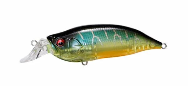 Megabass IxI Shad Type-R