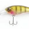 ISM Closer 55F Shallow Diving (0-7ft.)