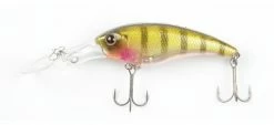 ISM Closer 55F Shallow Diving (0-7ft.)