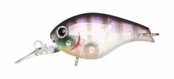 Lucky Craft Shallow Diving (0-7ft.) Clutch Series
