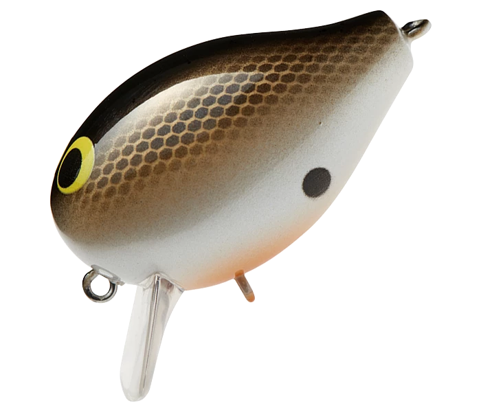 Smith LTD. Shallow Diving (0-7ft.) Corot SR
