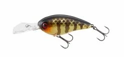 Jackall Shallow Diving (0-7ft.) Digle 2 Plus