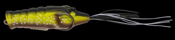 Nories Chibi Ebigaeru