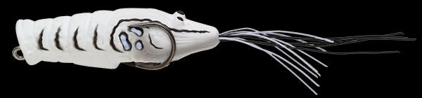 Nories Chibi Ebigaeru