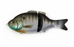 Baitsanity Explorer Gill 6 Hard Body