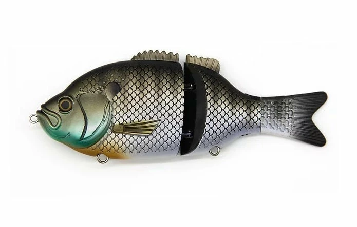Baitsanity Explorer Gill 6 Hard Body