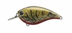 Evergreen USA Shallow Diving (0-7ft.) Flat Force