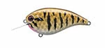 Evergreen USA Shallow Diving (0-7ft.) Flat Force
